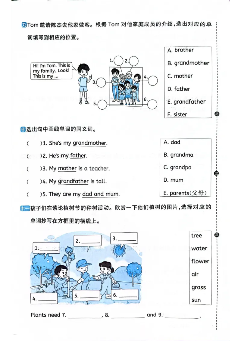 三年级上册2025秋季新版阳光同学提优训练试卷_小学教辅2026新版+暑假衔接_25秋《阳光同学课时提优训练》英语人教版3-6年级_三年级