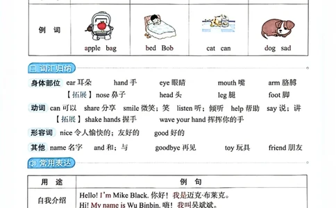 三年级上册2025秋季新版阳光同学提优训练知识背记卡_小学教辅2026新版+暑假衔接_25秋《阳光同学课时提优训练》英语人教版3-6年级_三年级
