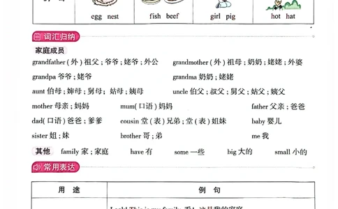 三年级上册2025秋季新版阳光同学提优训练知识背记卡_小学教辅2026新版+暑假衔接_25秋《阳光同学课时提优训练》英语人教版3-6年级_三年级