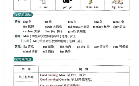 三年级上册2025秋季新版阳光同学提优训练知识背记卡_小学教辅2026新版+暑假衔接_25秋《阳光同学课时提优训练》英语人教版3-6年级_三年级