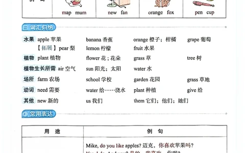 三年级上册2025秋季新版阳光同学提优训练知识背记卡_小学教辅2026新版+暑假衔接_25秋《阳光同学课时提优训练》英语人教版3-6年级_三年级