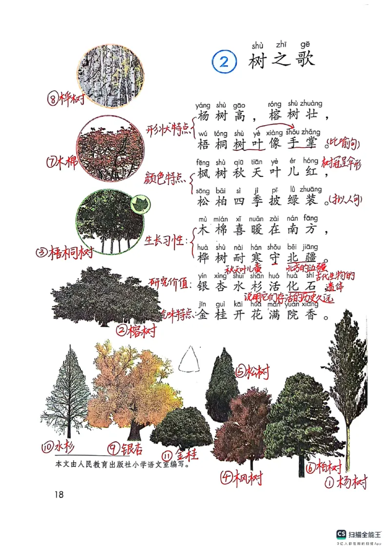二上语文笔记(1)(3)(1)_小学1-6年级常用的上册资源汇总_二年级上册资料(1)