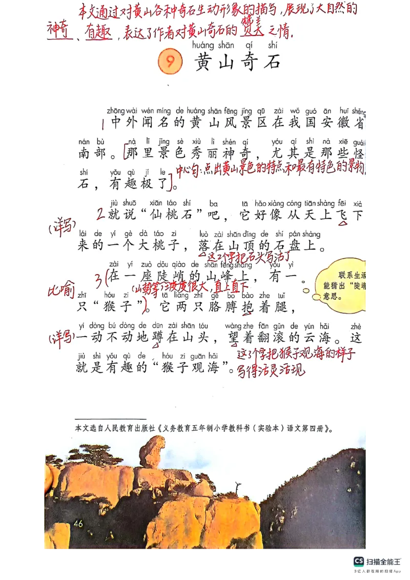 二上语文笔记(1)(3)(1)_小学1-6年级常用的上册资源汇总_二年级上册资料(1)