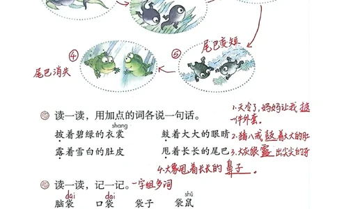 二上语文笔记(1)(3)(1)_小学1-6年级常用的上册资源汇总_二年级上册资料(1)