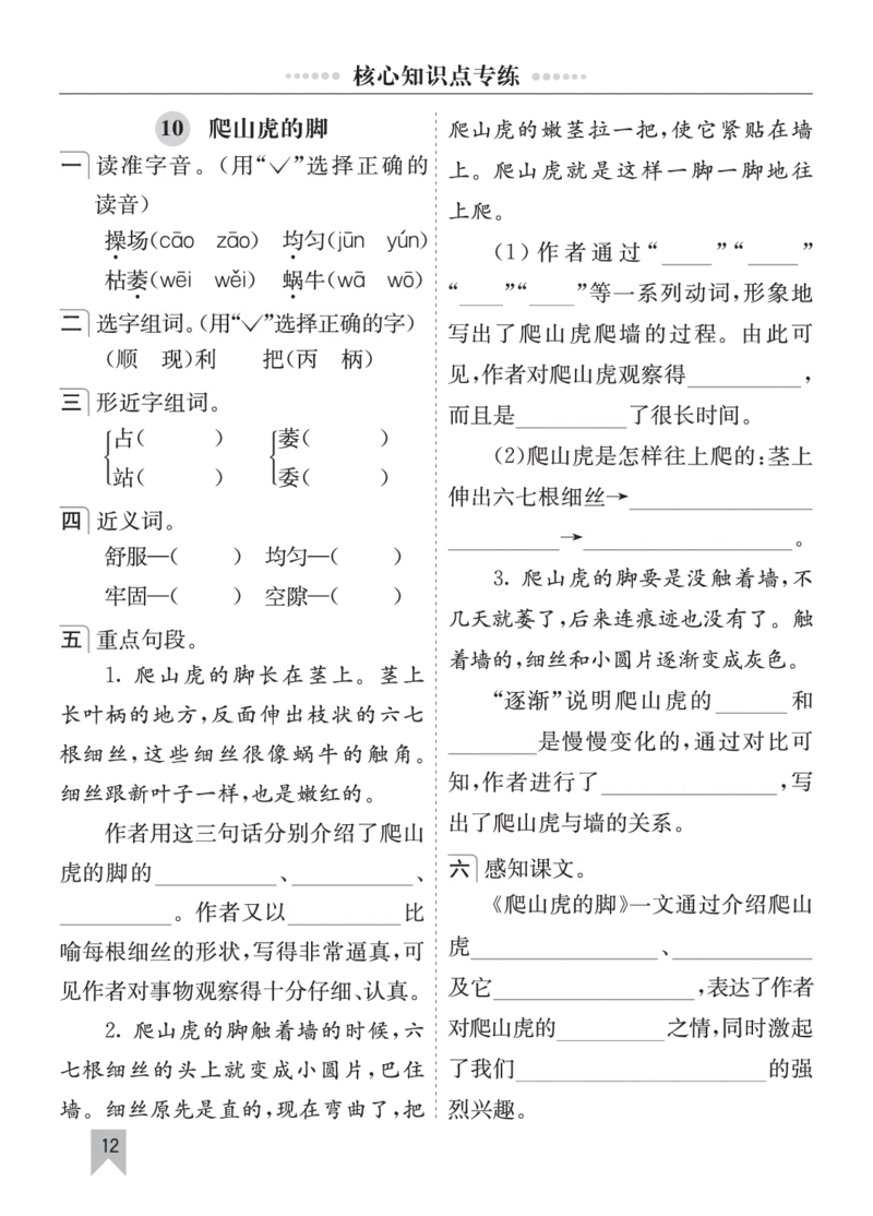 七彩课堂四语上单元核心知识点专练_25秋1-6年级语文上册课件教案_25秋统编版语文四年级上册_统编版语文四年级上册教学资源包（25秋七彩课堂）_10.期末复习_单元核心知识点专练