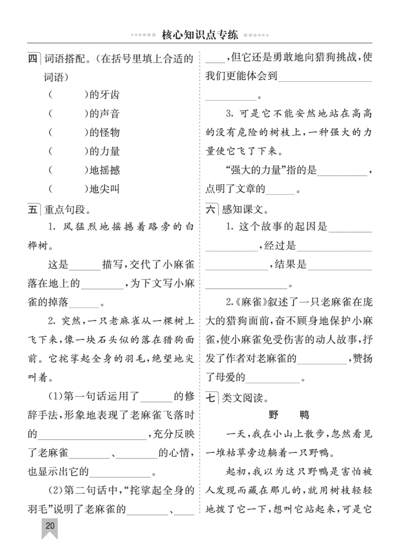 七彩课堂四语上单元核心知识点专练_25秋1-6年级语文上册课件教案_25秋统编版语文四年级上册_统编版语文四年级上册教学资源包（25秋七彩课堂）_10.期末复习_单元核心知识点专练