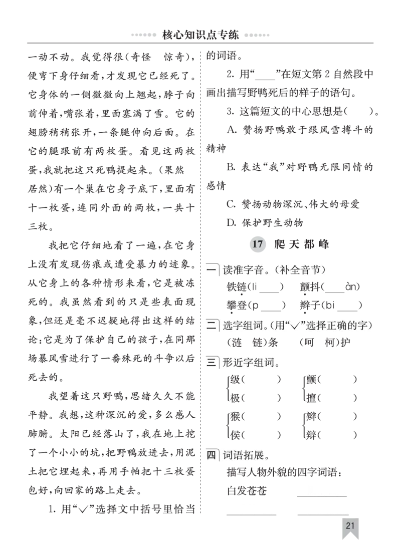 七彩课堂四语上单元核心知识点专练_25秋1-6年级语文上册课件教案_25秋统编版语文四年级上册_统编版语文四年级上册教学资源包（25秋七彩课堂）_10.期末复习_单元核心知识点专练
