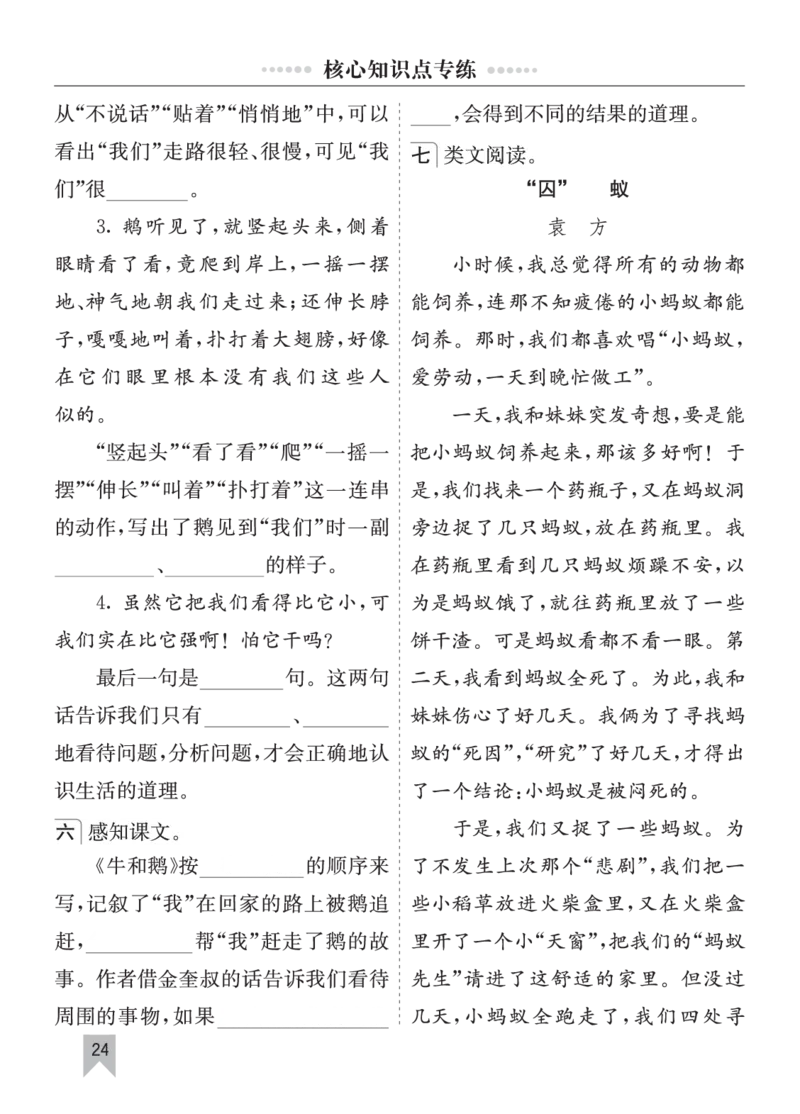 七彩课堂四语上单元核心知识点专练_25秋1-6年级语文上册课件教案_25秋统编版语文四年级上册_统编版语文四年级上册教学资源包（25秋七彩课堂）_10.期末复习_单元核心知识点专练