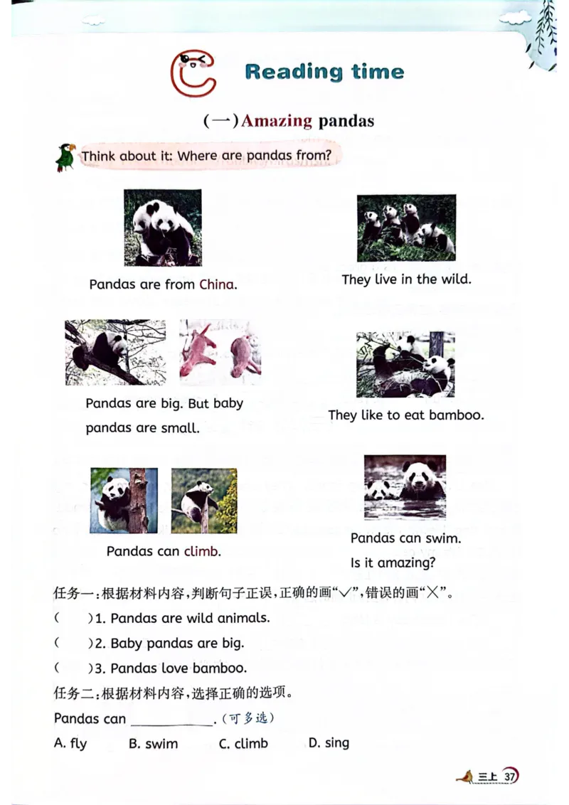 三年级上册2025秋季新版阳光同学提优训练_小学教辅2026新版+暑假衔接_25秋《阳光同学课时提优训练》英语人教版3-6年级_三年级