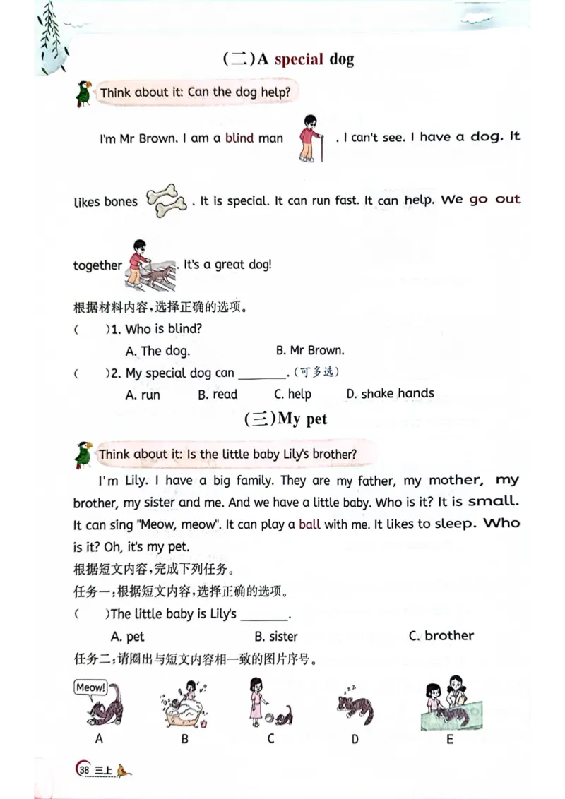 三年级上册2025秋季新版阳光同学提优训练_小学教辅2026新版+暑假衔接_25秋《阳光同学课时提优训练》英语人教版3-6年级_三年级