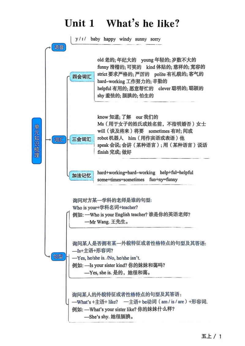 五年级上册2025秋季新版阳光同学提优训练知识梳理_小学教辅2026新版+暑假衔接_25秋《阳光同学课时提优训练》英语人教版3-6年级_五年级
