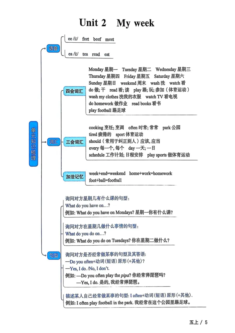 五年级上册2025秋季新版阳光同学提优训练知识梳理_小学教辅2026新版+暑假衔接_25秋《阳光同学课时提优训练》英语人教版3-6年级_五年级