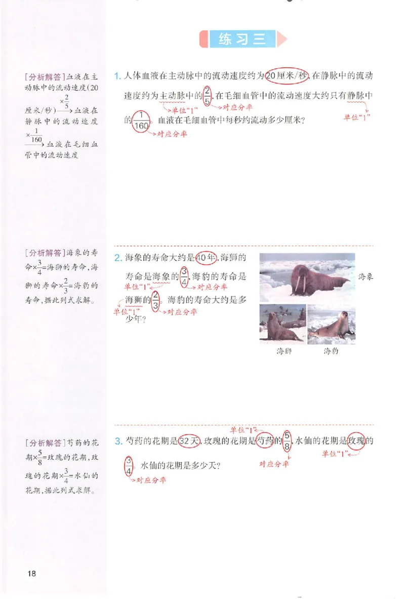 六年级数学人教版上册25秋《一本课本预习笔记》_语数英1-6年级《一本课本预习笔记》_数学人教版上册_六年级数学人教版上册25秋《一本课本预习笔记》(1)