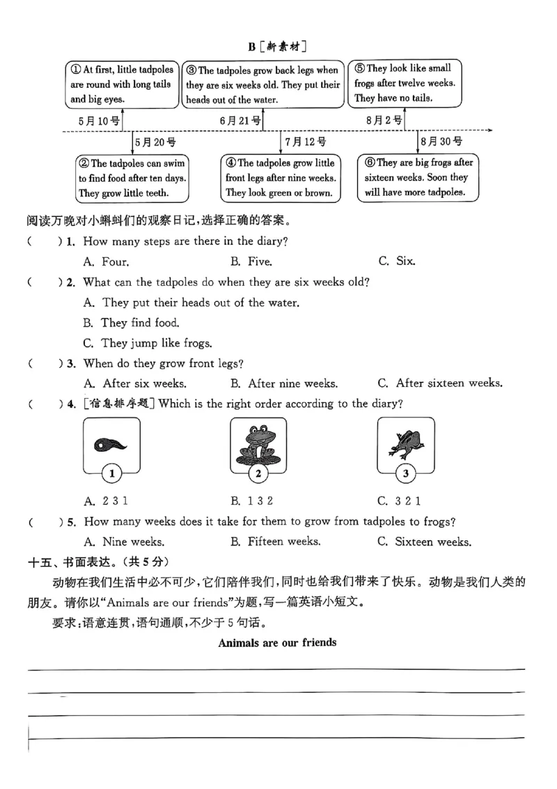 五上试卷(1)_25秋小学《拔尖特训》多版本合集_3-6年级英语上册译林25秋《拔尖特训》_25秋拔尖特训英语译林5上(1)