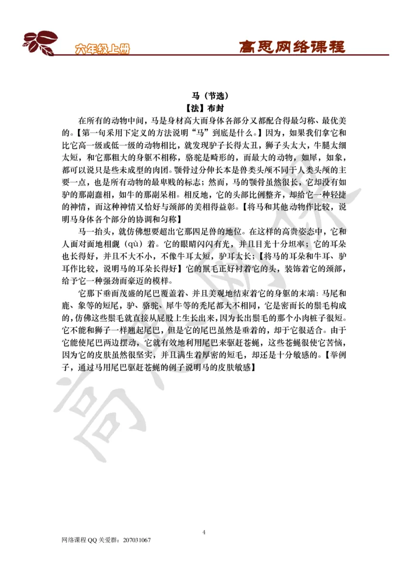 六年级上册-基础说明文写作_小学1-6年级常用的上册资源汇总_六年级上册资料(1)_六年级上册_六年级上_6上讲义