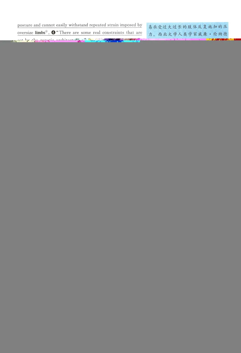 2008年考研英语真题解析_27考研真题_考研英语一、二真题+解析（1994-2026）_0.考研英语二真题与解析（1980-2026）_1.1980-2009年真题及解析(英语一二通用）_1998-2009年真题解析