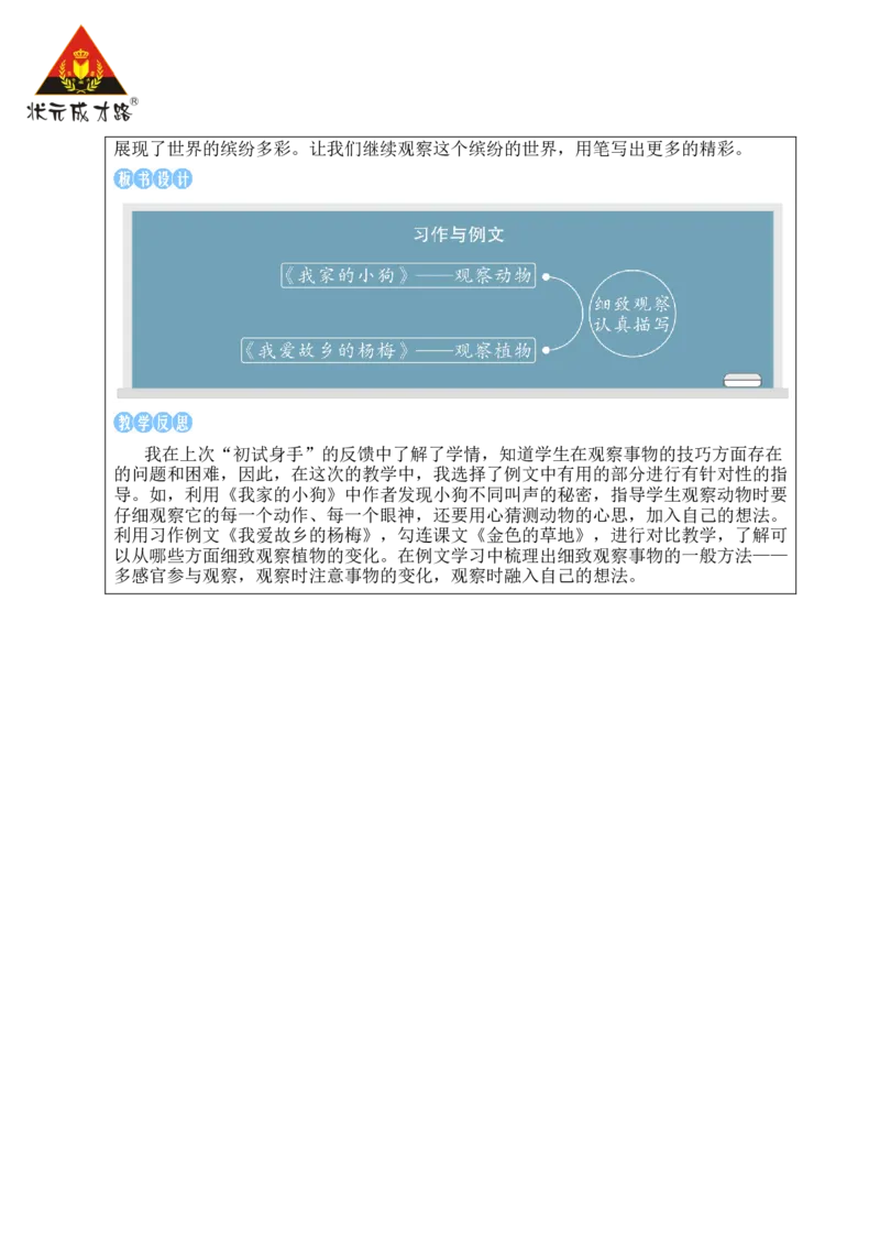 习作与例文教案_25秋1-6年级语文上册课件教案_25秋统编版语文三年级上册_统编版语文三年级上册教学资源包（25秋状元大课堂）_2.3语上教案_5.第五单元