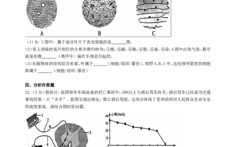 2016年贵州贵阳中考生物真题及答案23页_贵州中考_6.贵州中考生物（2015-2025）