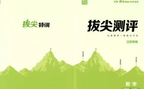 六年级数学苏教江苏专版上册25秋《拔尖特训》拔尖测评(1)_25秋小学《拔尖特训》多版本合集_1-6年级数学苏教江苏专版上册25秋《拔尖特训》_六年级数学苏教江苏专版上册25秋《拔尖特训》
