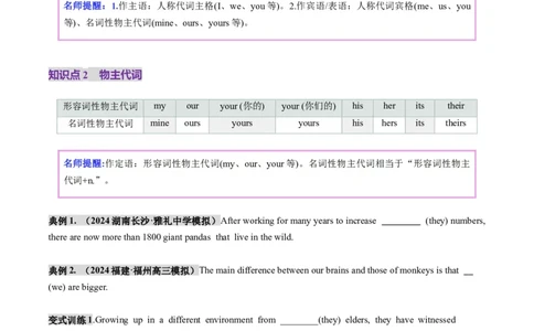 第03讲代词（讲义）（原卷版）_03高考英语_新高考复习资料_2025年新高考复习_2025年高考英语一轮复习讲练测（新教材新高考，含2024年高考真题）_语法