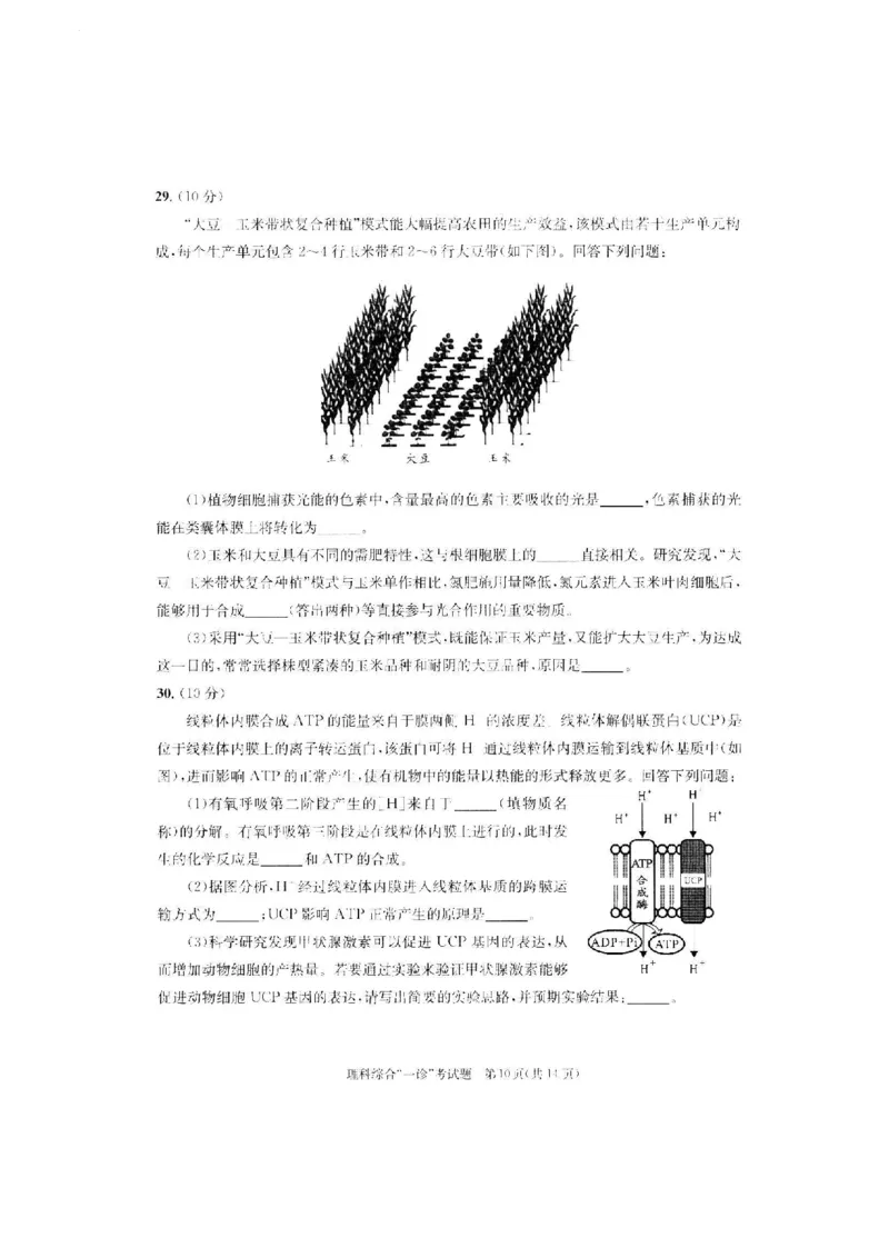 理综试题_05高考化学_高考模拟题_全国课标版_2023届四川成都一诊成都市2020级高中毕业班第一次诊断性检测理综_2023届四川成都一诊成都市2020级高中毕业班第一次诊断性检测理综