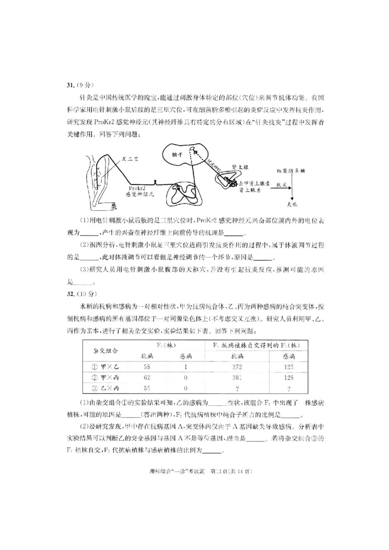 理综试题_05高考化学_高考模拟题_全国课标版_2023届四川成都一诊成都市2020级高中毕业班第一次诊断性检测理综_2023届四川成都一诊成都市2020级高中毕业班第一次诊断性检测理综