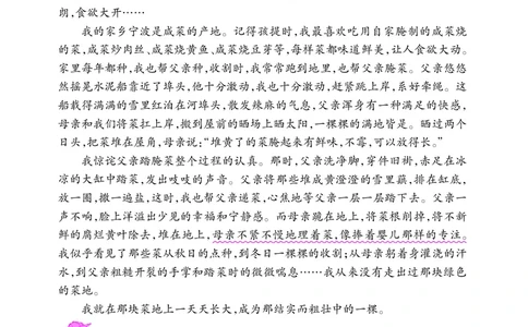 六年级阅读专项练习3_小学1-6年级常用的上册资源汇总_六年级上册资料(1)_《实验班阅读专项练习》语文六年级(1)