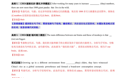 第03讲代词（讲义）（解析版）_03高考英语_新高考复习资料_2025年新高考复习_2025年高考英语一轮复习讲练测（新教材新高考，含2024年高考真题）_语法