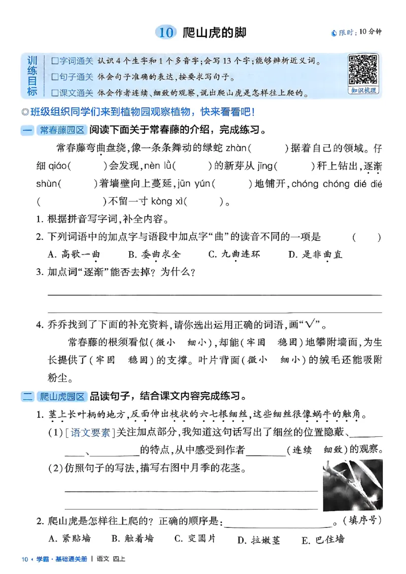 四上基础通关手册语文_25秋上册语数英《五星学霸》各版本🈴集_🔰25秋上册语数英《五星学霸》各版本🈴集。已分享_25秋《五星学霸》人教语文1-6上。已核对_25秋五星学霸语文4上~