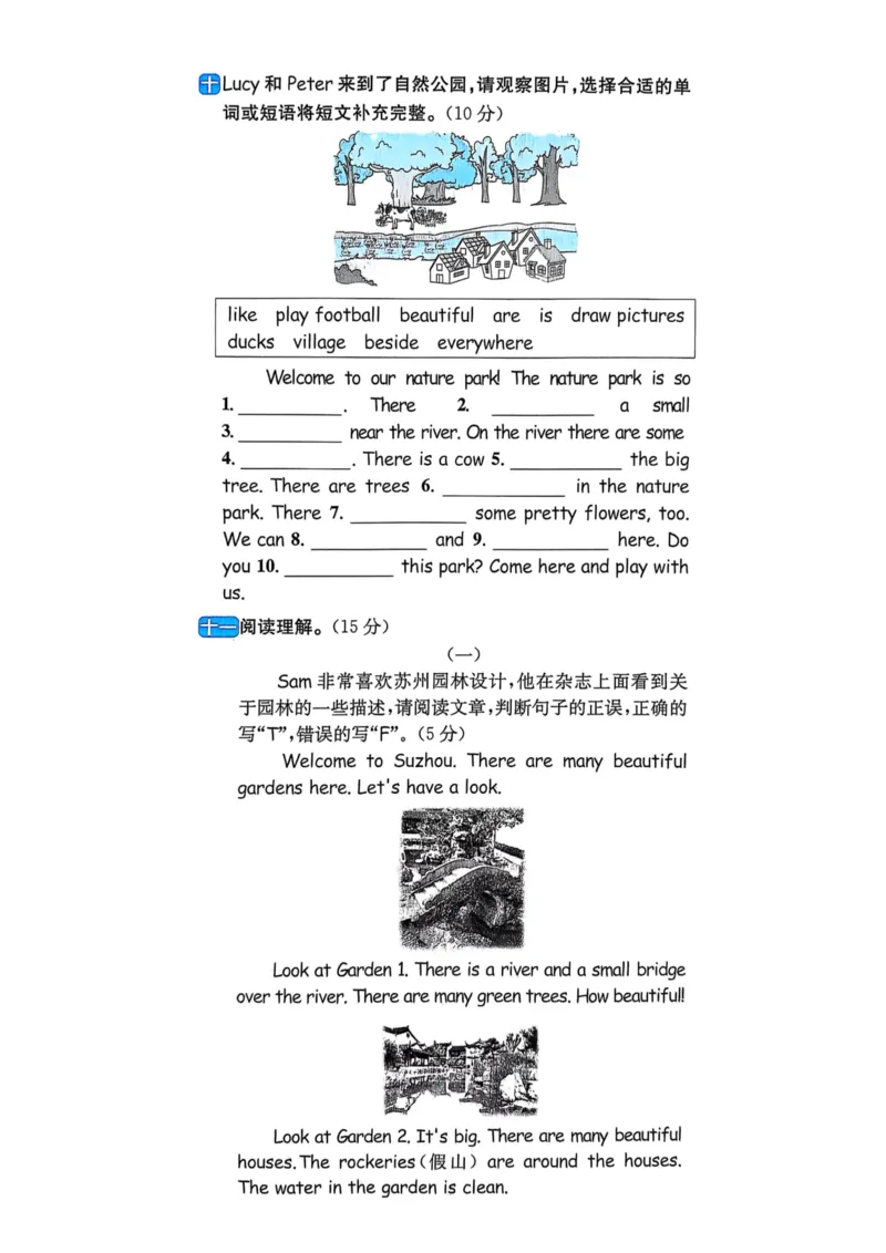 五年级上册2025秋季新版阳光同学提优训练试卷_小学教辅2026新版+暑假衔接_25秋《阳光同学课时提优训练》英语人教版3-6年级_五年级