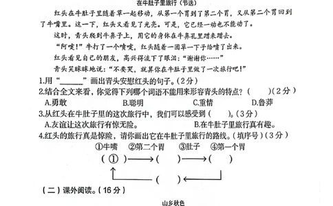 三上语文期中情景押题(1)(1)_小学1-6年级常用的上册资源汇总_三年级上册资料(1)