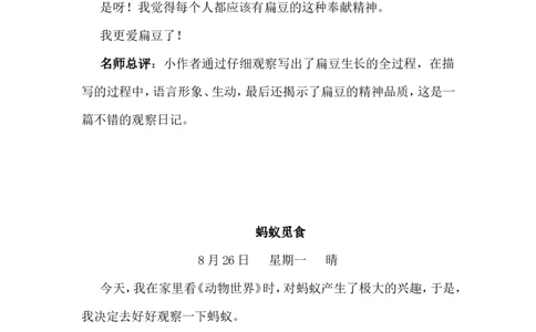 习作例文_25秋1-6年级语文上册课件教案_25秋统编版语文四年级上册_统编版语文四年级上册教学资源包（25秋状元大课堂）_1.4语上上课课件交互版PPT_3.第三单元