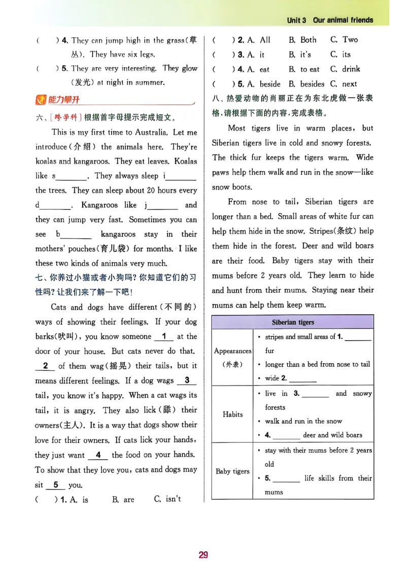 五上拔尖(1)_25秋小学《拔尖特训》多版本合集_3-6年级英语上册译林25秋《拔尖特训》_25秋拔尖特训英语译林5上(1)