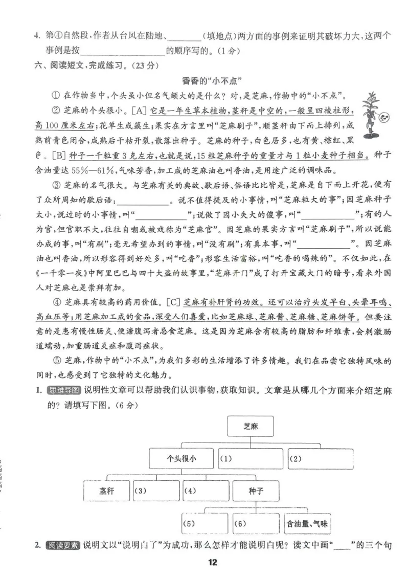 五年级语文人教版上册25秋《拔尖特训》拔尖测评(1)_25秋小学《拔尖特训》多版本合集_1-6年级语文人教版上册25秋《拔尖特训》_五年级语文人教版上册25秋《拔尖特训》