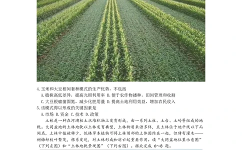 淮南市2023届高三&ldquo;一模&rdquo;文综试题_07高考历史_历史高考模拟题_旧高考_2023年_2023安徽省淮南市高三第一次模拟考试文综_2023安徽省淮南市高三第一次模拟考试文综