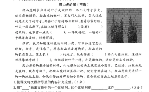 四年级上册语文期中名校真题测试卷_满分资料专属(1)(1)_小学1-6年级常用的上册资源汇总_四年级上册资料(1)