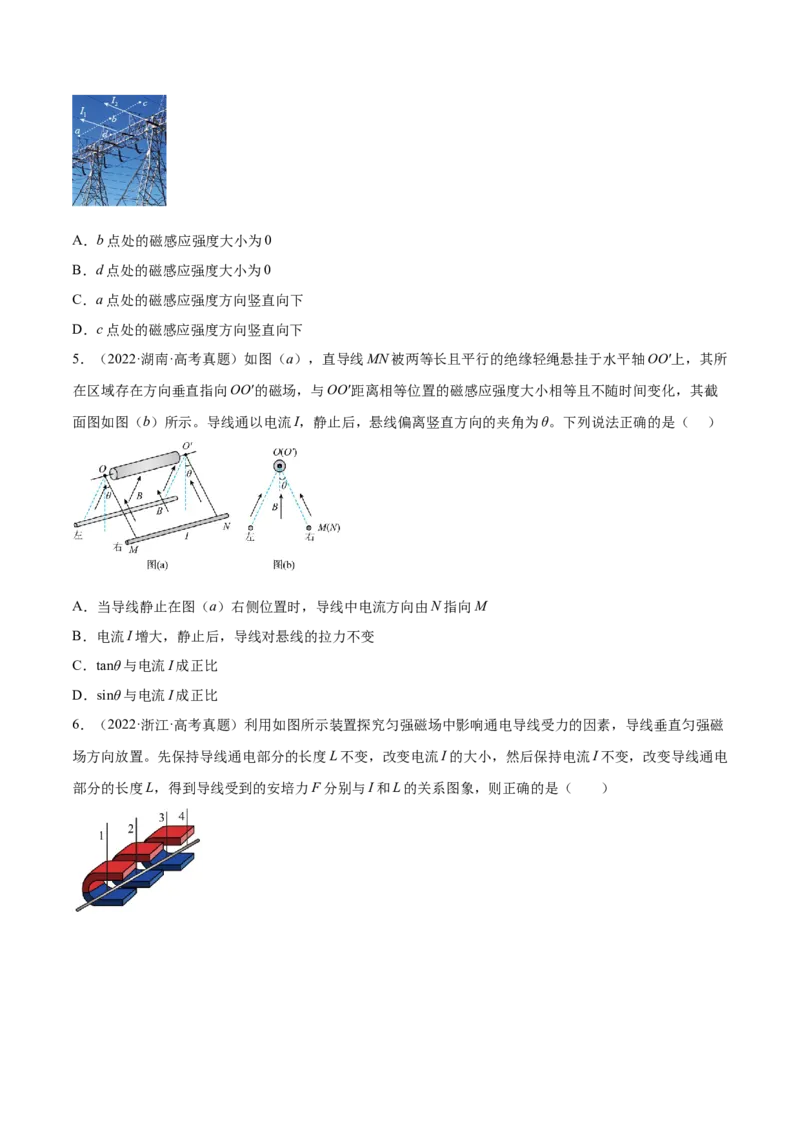 10.1磁场的描述及安培力（练）--2023年高考物理一轮复习讲练测（全国通用）（原卷版）_04高考物理_通用版（老高考）复习资料_2023年复习资料_一轮复习