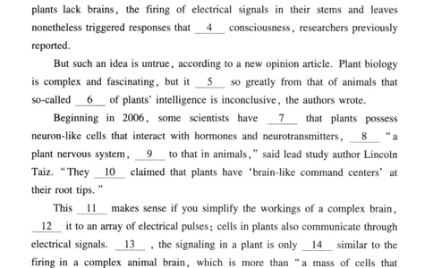 2022年考研英语一真题_考研英语+作文模板_1.1980-2025考研英一真题+解析_03、2010-2024年考研英语真题+解析_2010-2024年考研英语一真题