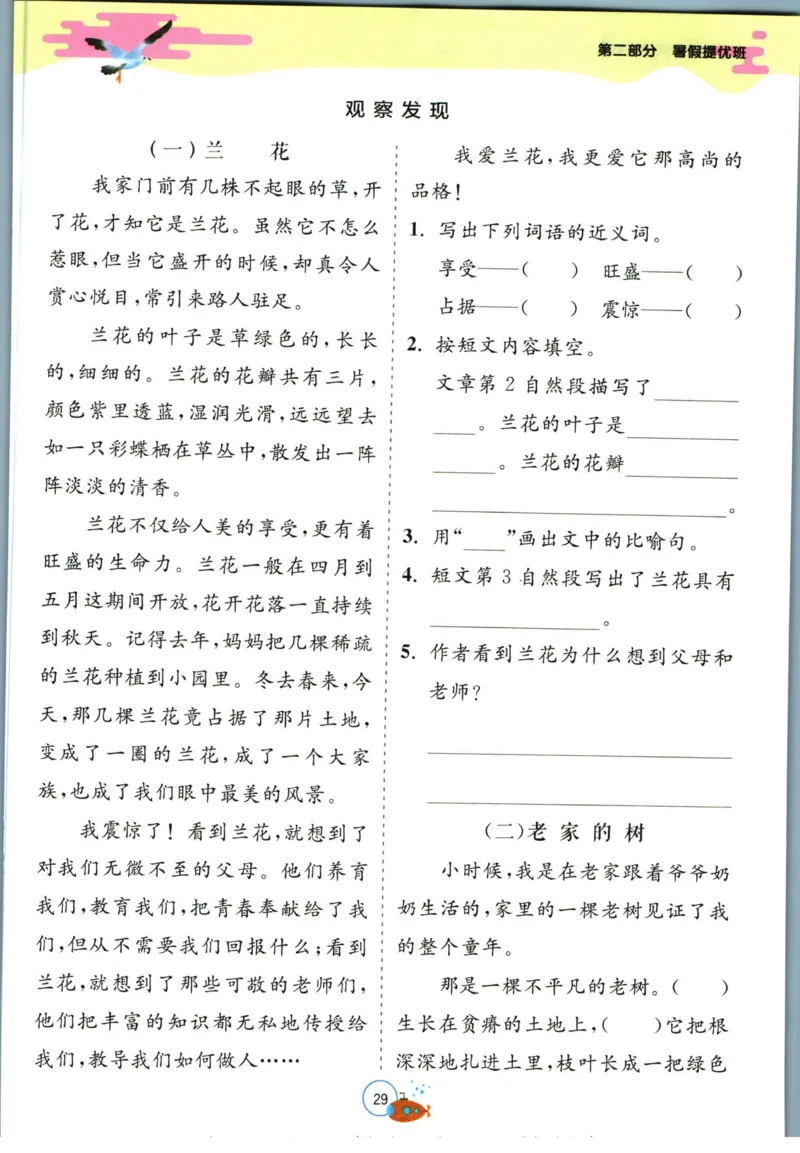 实验班暑假衔接二升三语文人教版_decrypted_小学教辅2026新版+暑假衔接_2025秋《实验班暑假衔接》语文数学英语（1-6年级多版本）_1-6年级语文《实验班暑假衔接》