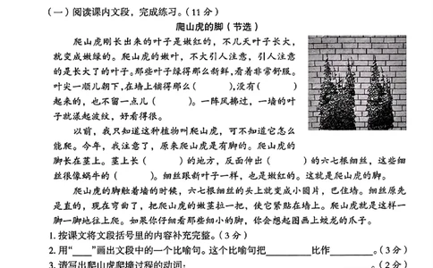 四年级上册语文期中测试卷(1)_小学1-6年级常用的上册资源汇总_四年级上册资料(1)