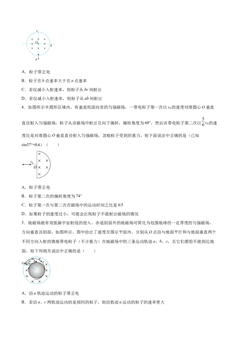 10.2磁场对运动电荷的作用（练）--2023年高考物理一轮复习讲练测（全国通用）（原卷版）_04高考物理_通用版（老高考）复习资料_2023年复习资料_一轮复习