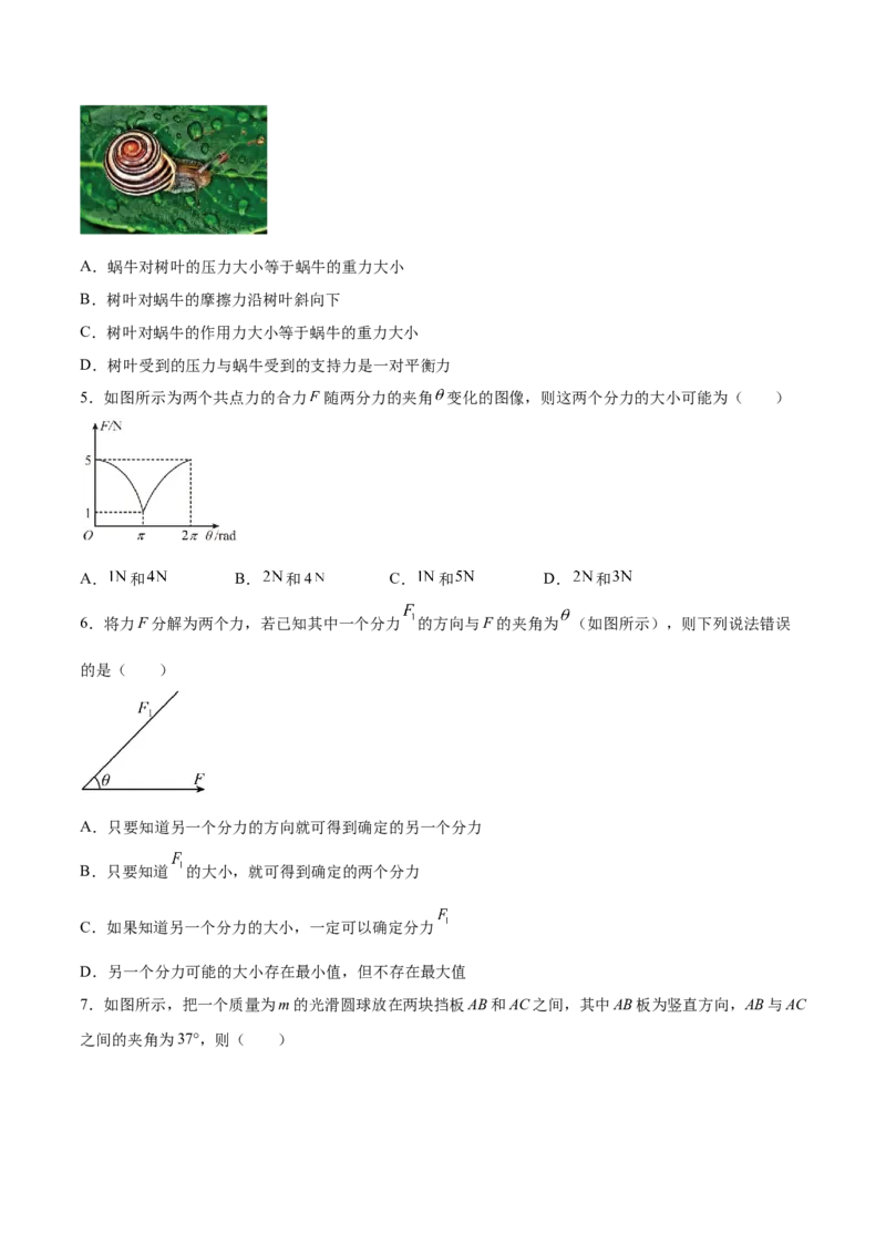 2.2力的合成与分解（练）--2023年高考物理一轮复习讲练测（全国通用）（原卷版）_04高考物理_通用版（老高考）复习资料_2023年复习资料_一轮复习