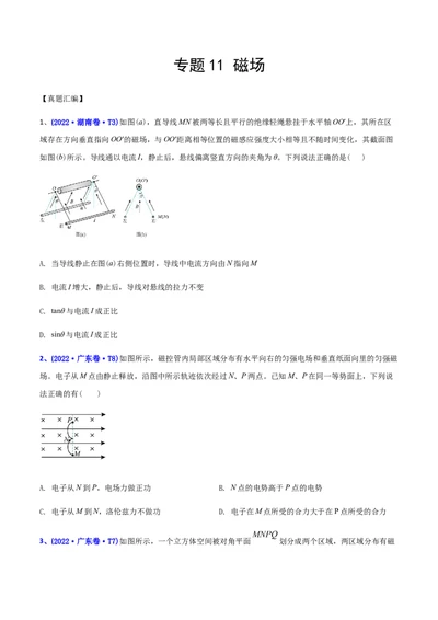 专题11磁场-2022年高考真题和模拟题物理分专题训练（学生版）_04高考物理_2024年新高考资料_1.2024一轮复习_赠2022年高考物理真题与模拟题分类训练