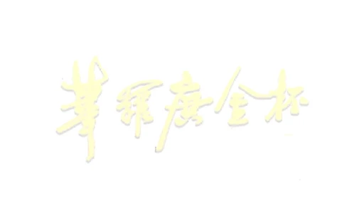 第十六届华罗庚金杯决赛试题D（小学高年级组）_奥数专题合集_H003小学奥数培训班课程+习题_华罗庚_小高