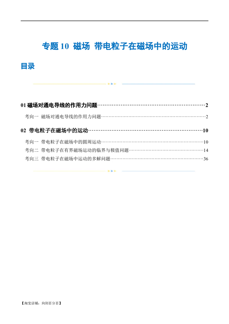 专题10磁场带电粒子在磁场中的运动（练习）（解析版）_04高考物理_新高考复习资料_2024新高考复习资料_二轮复习资料_2024年高考物理二轮复习讲练测（新教材新高考）