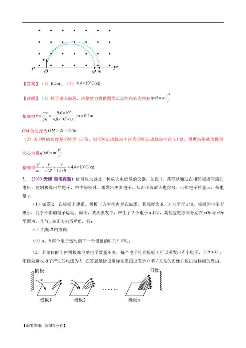 专题10磁场带电粒子在磁场中的运动（练习）（解析版）_04高考物理_新高考复习资料_2024新高考复习资料_二轮复习资料_2024年高考物理二轮复习讲练测（新教材新高考）