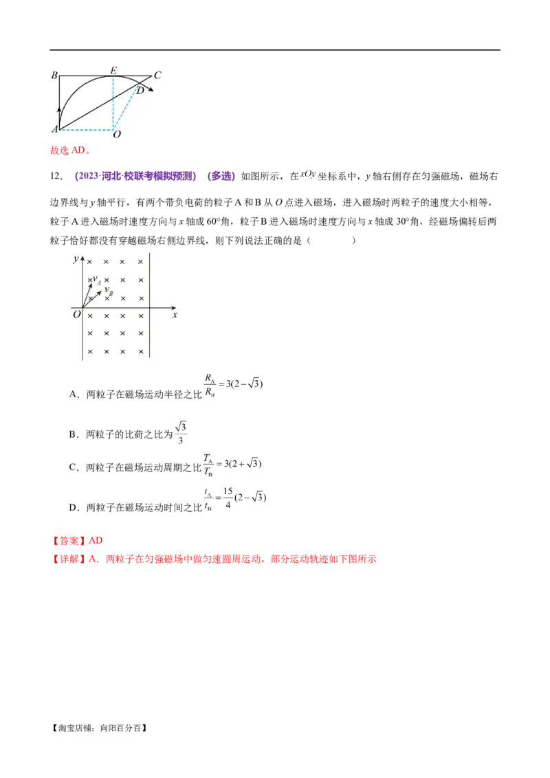 专题10磁场带电粒子在磁场中的运动（练习）（解析版）_04高考物理_新高考复习资料_2024新高考复习资料_二轮复习资料_2024年高考物理二轮复习讲练测（新教材新高考）