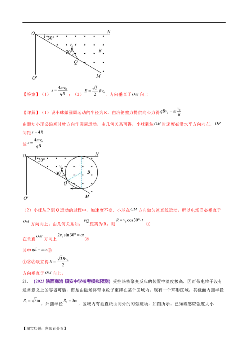专题10磁场带电粒子在磁场中的运动（练习）（解析版）_04高考物理_新高考复习资料_2024新高考复习资料_二轮复习资料_2024年高考物理二轮复习讲练测（新教材新高考）