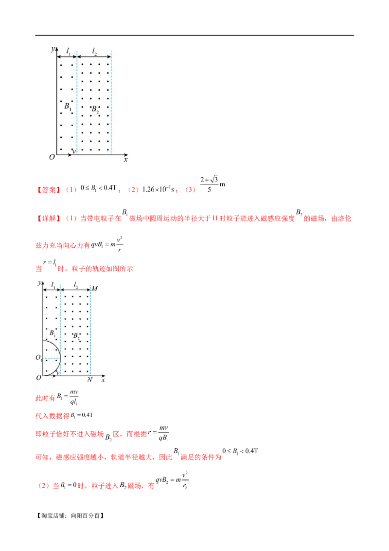 专题10磁场带电粒子在磁场中的运动（练习）（解析版）_04高考物理_新高考复习资料_2024新高考复习资料_二轮复习资料_2024年高考物理二轮复习讲练测（新教材新高考）