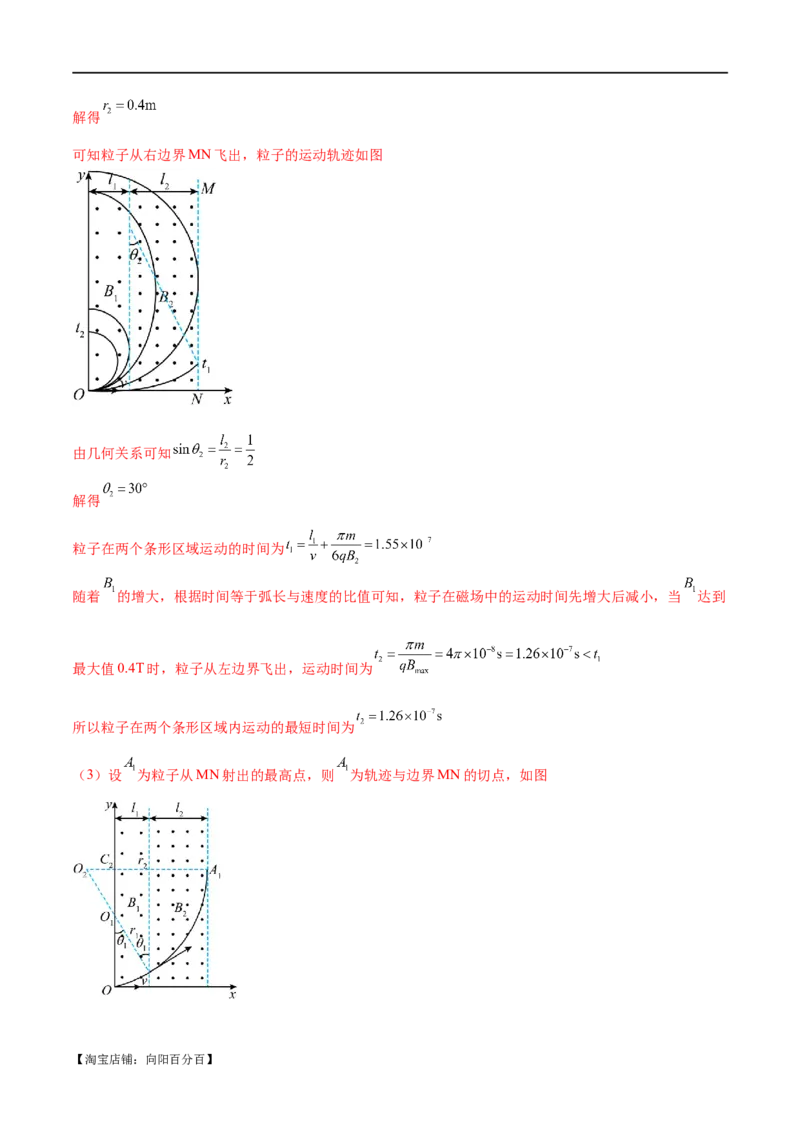 专题10磁场带电粒子在磁场中的运动（练习）（解析版）_04高考物理_新高考复习资料_2024新高考复习资料_二轮复习资料_2024年高考物理二轮复习讲练测（新教材新高考）